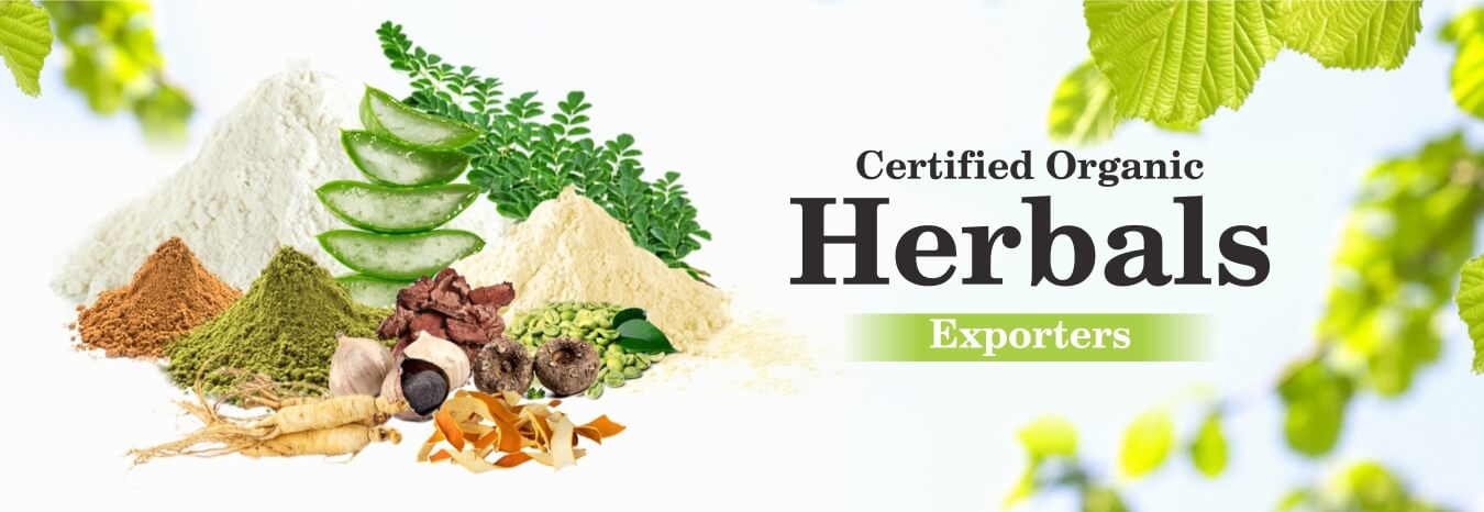 Herbal Powder Exporter