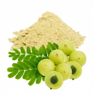 Amla Powder Wholesaler in India