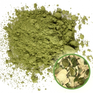 Ber Patti Powder Manufacturer in Austria