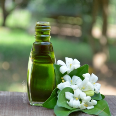 Bhringraj Hair Oil Manufacturer in Qatar