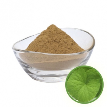 Brahmi Powder Manufacturer in Indonesia