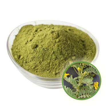 Cassia Obovata Powder Manufacturer