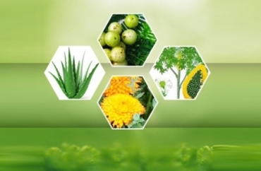 Certified Organic Herbals Manufacturer in Latvia