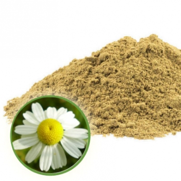 Chamomile Powder Manufacturer in Ecuador