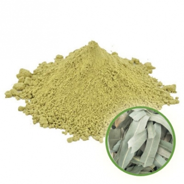 Eucalyptus Powder Manufacturer