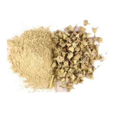 Gokhshura Powder Manufacturer in South America 