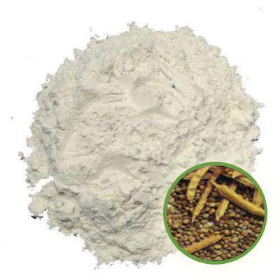 Guar Gum Powder Exporter in India