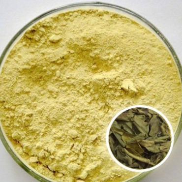 Herbal Neem Face Mask Manufacturer in Ecuador