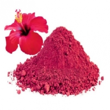 Hibiscus Powder Manufacturer in Romania