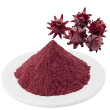 Hibiscus Roselle Powder Manufacturer in Spain