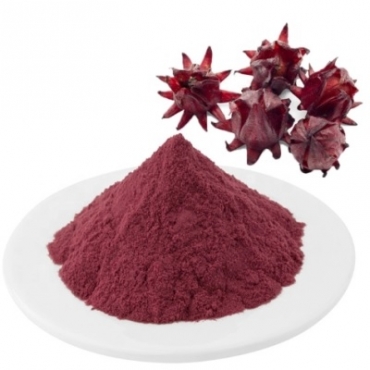 Hibiscus Roselle Powder Manufacturer in Ukraine