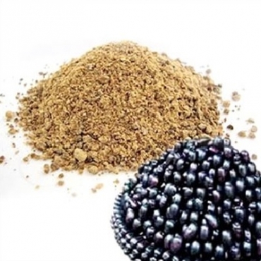 Jamun Powder Wholesaler