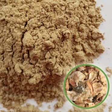 Lemon Peel Powder Manufacturer in China