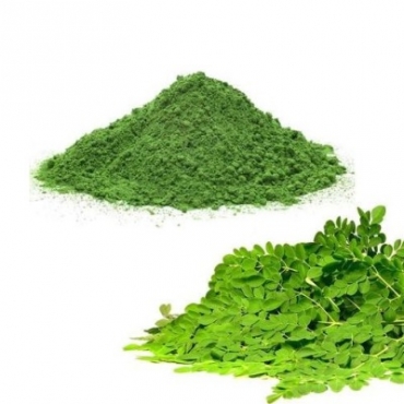Moringa Leaves Powder Manufacturer in Sri Lanka