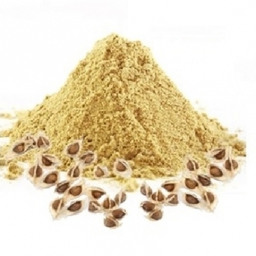 Moringa Seeds Powder Manufacturer in Africa