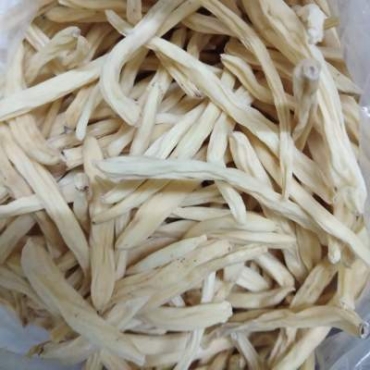 Musli White Manufacturer