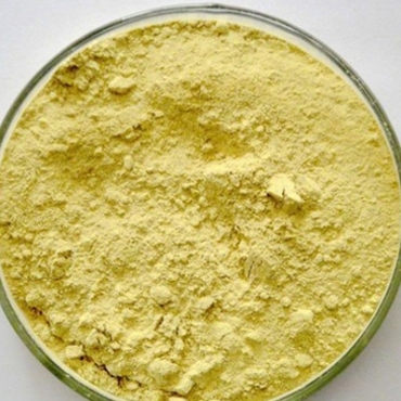 Neem Face Mask Manufacturer in Bulgaria