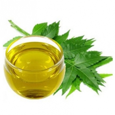 Neem Oil Manufacturer in South America 