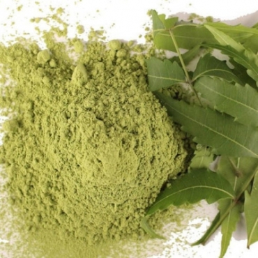 Neem Powder Wholesaler from India