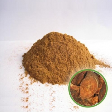 Rhubarb Powder Manufacturer in United Arab Emirates