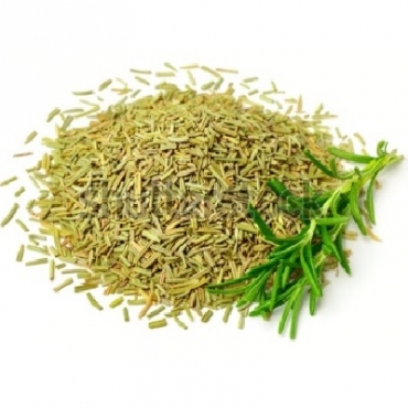 Rosemary Leaves Powder Manufacturer in Ecuador