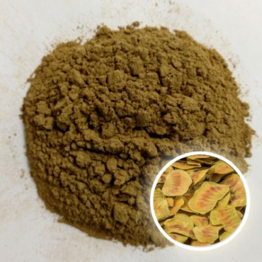 Senna Pods Powder Manufacturer