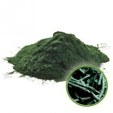 Spirulina Powder Manufacturer in Turkey