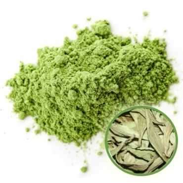 Stevia Leaves Powder Manufacturer in Kazakhstan