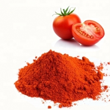 Tomato Powder Manufacturer in Czechia