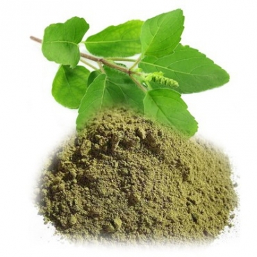 Krishna Tulsi Powder Manufacturer in India