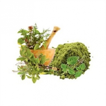 Rama Tulsi Powder Importer