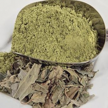 Ziziphus Leaf Powder Manufacturer in Costa Rica